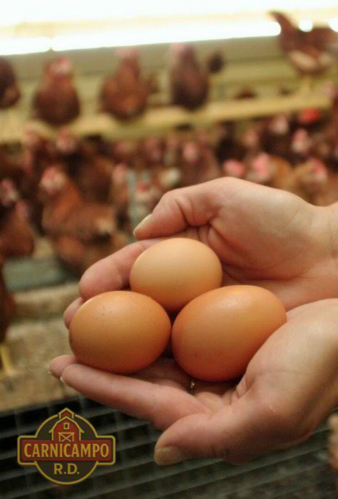 Huevos criollos naturales
